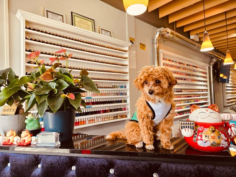 Diamond Nails - Nail Salon in Chicago