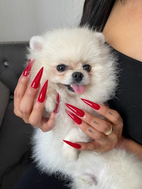 Mirror Nails nail design by Nail Nation Spa LA Los Angeles