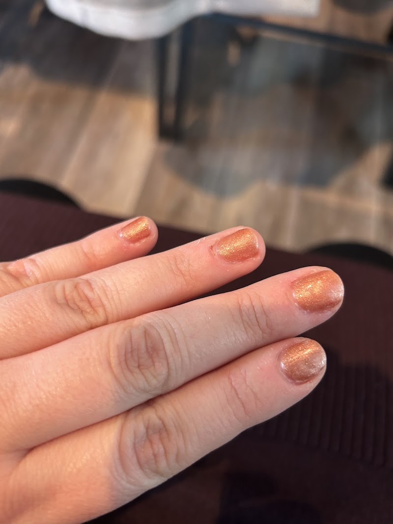 Christmas Nails nail design by Dayann Nail Spa #1 in New York