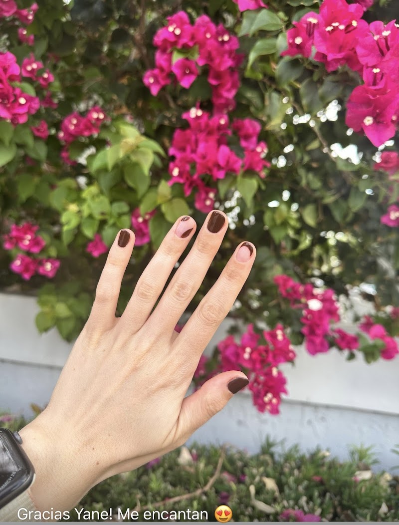 Winter Nails nail design by Nails by Yc in Miami