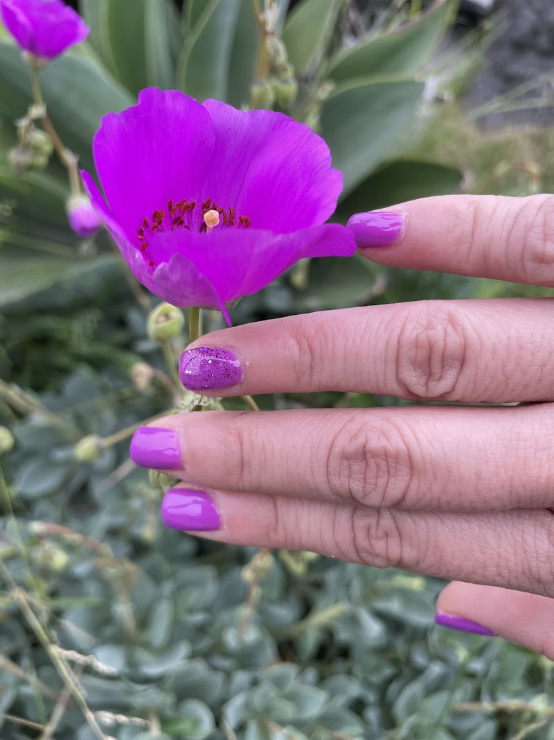 French Tips at Olympic Nails in Los Angeles