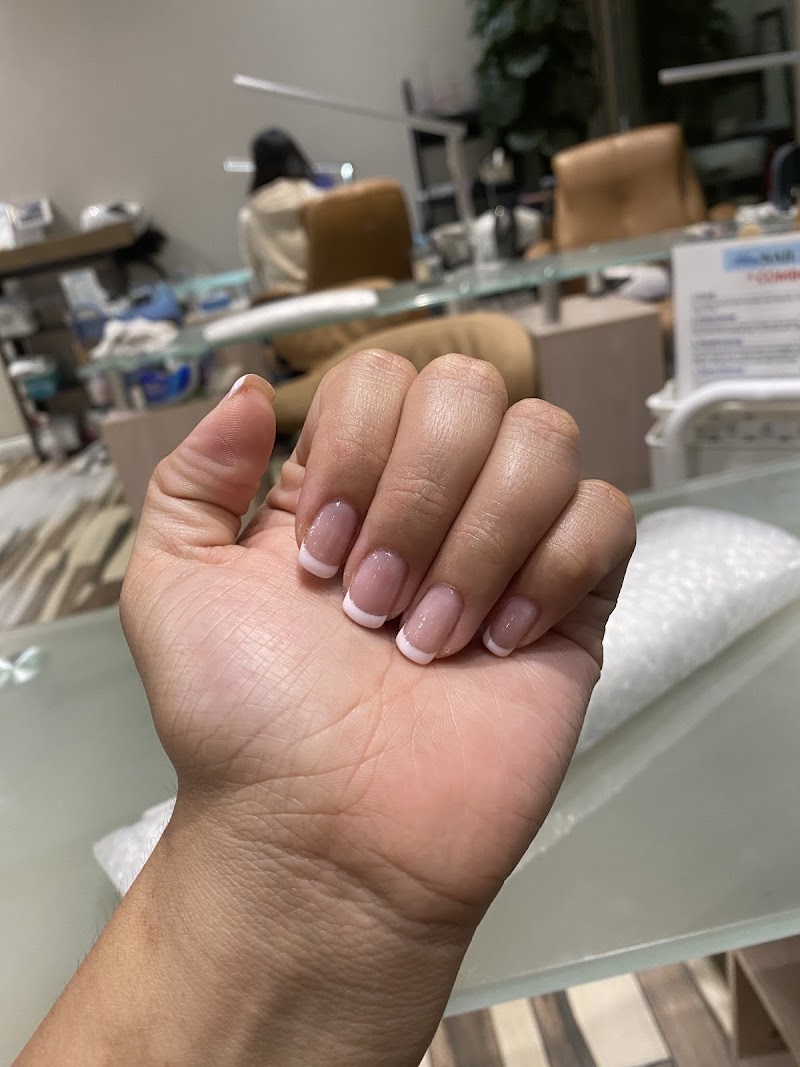 French Tips at Bleu Nail SPA in Los Angeles