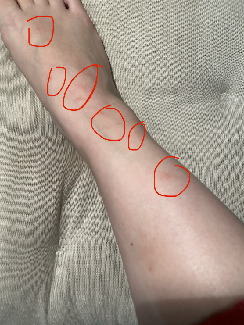 Red Nails nail design by LA Cutie's Nails & Eyebrow Studio in Los Angeles